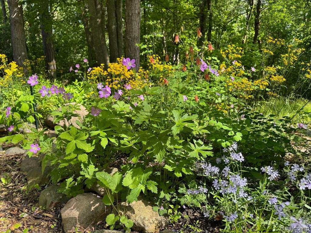 1827 HIGH HOLLOW Drive, Ann Arbor, MI 48103 — Photo 15