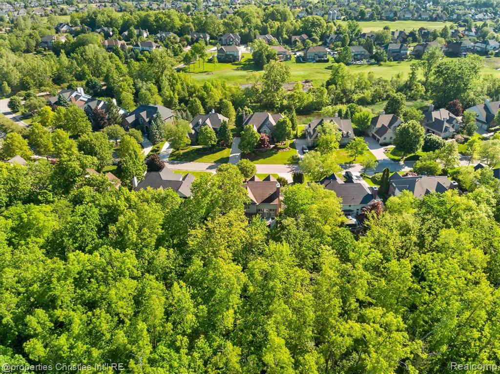 15639 Merion Court, Northville, MI 48168 — Photo 68