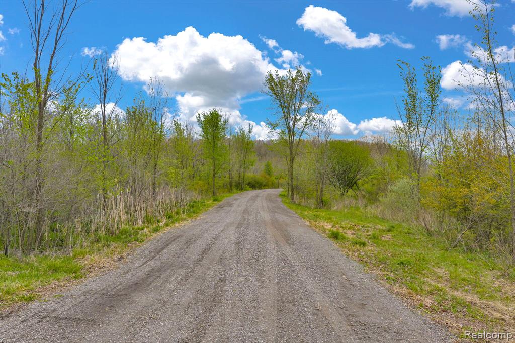 0 Martin Road, Avoca, MI 48014 — Photo 12