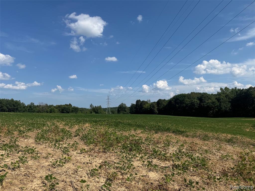 VL S Mill Road, Dryden, MI 48428 — Photo 2