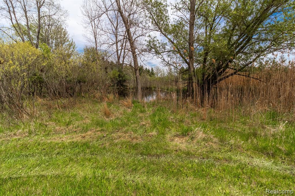 13926 IMLAY CITY Road, Mussey, MI 48014 — Photo 40