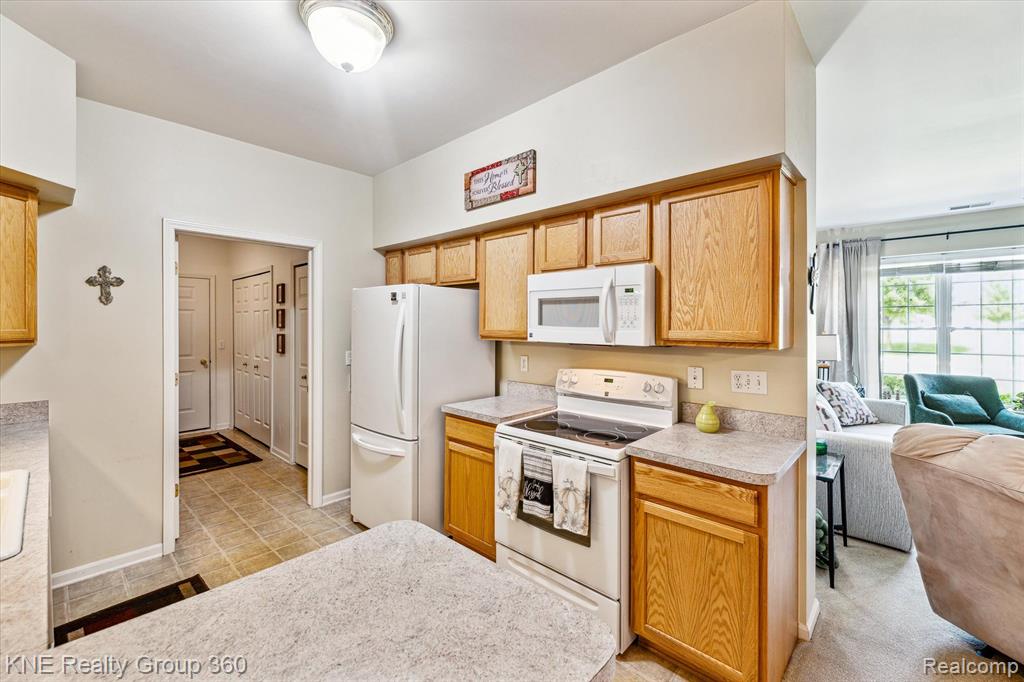 1056 SHIAWASSEE Circle, Howell, MI 48843 — Photo 26