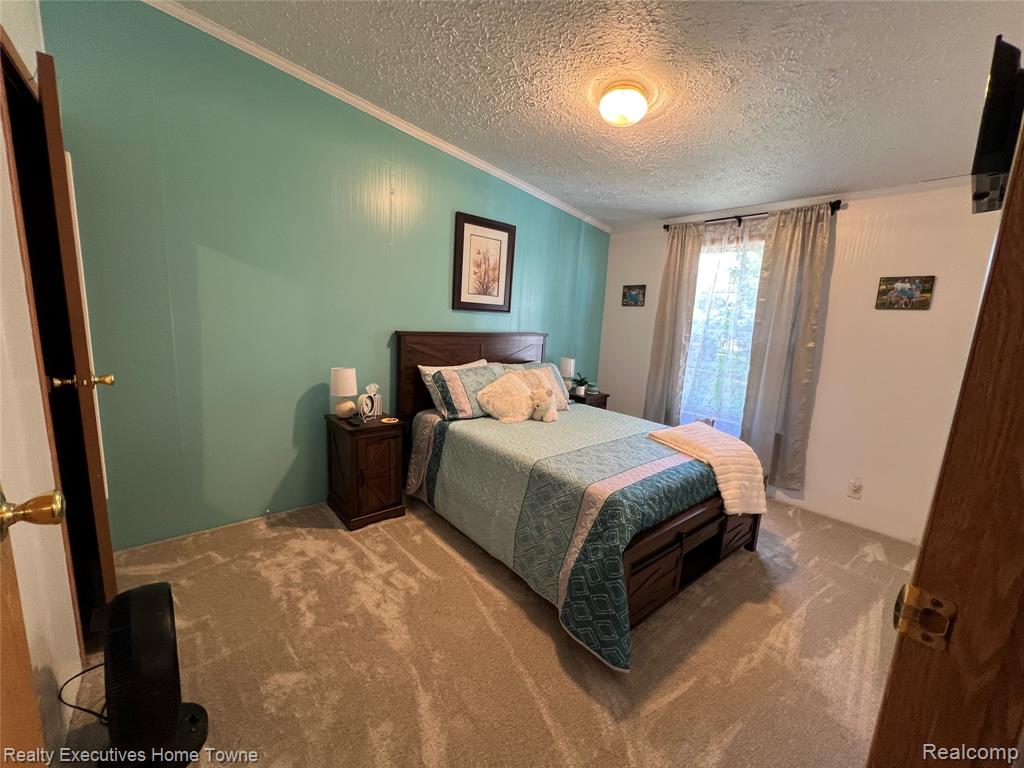 2293 DENNIS Street, Croswell, MI 48422 — Photo 30