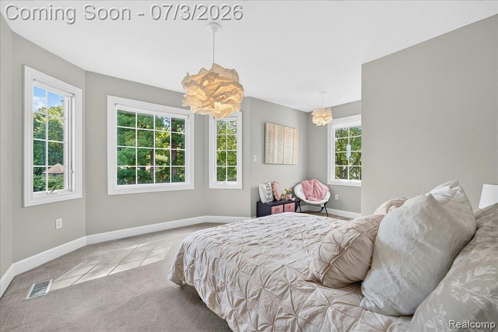 150 River Park Place, Dundee, MI 48131 — Photo 26