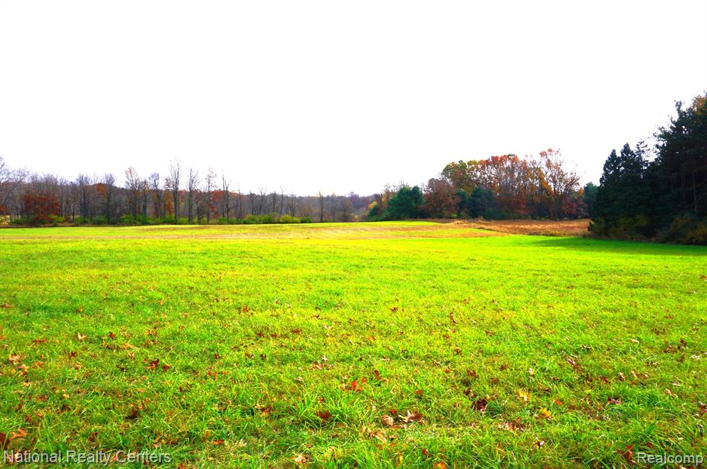 1755 KANE Road, Stockbridge, MI 49285 — Photo 32