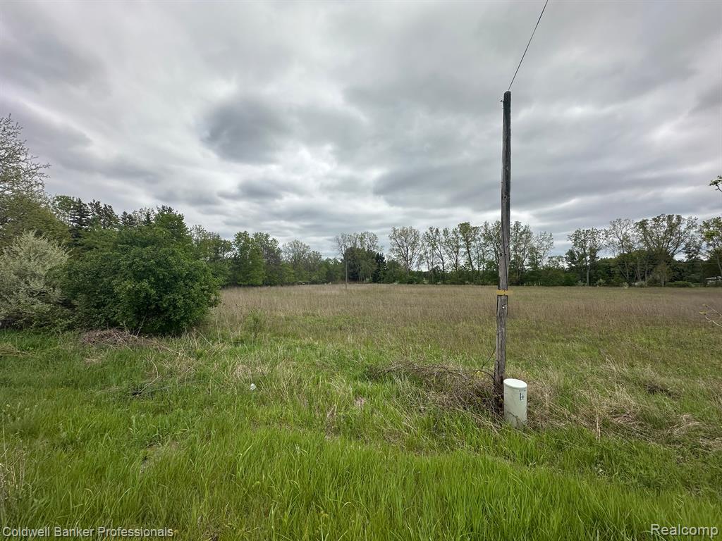 Lot C Bowers Road, Lapeer, MI 48446 — Photo 6