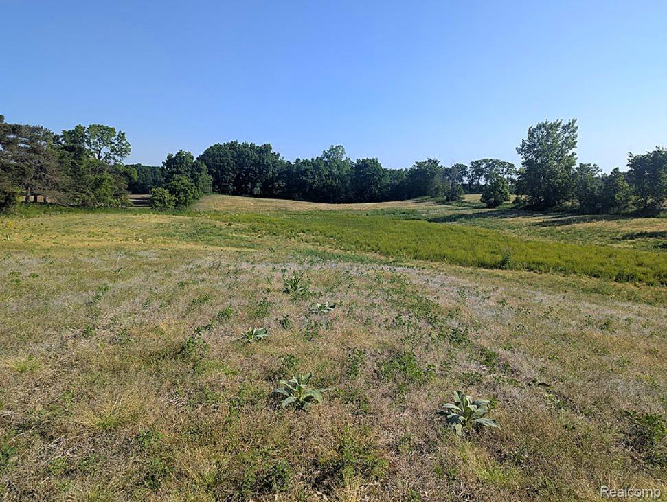 Parcel A - Rolston Road, Linden, MI 48451 — Photo 6