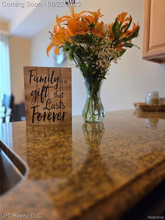 53043 CELTIC Drive, Shelby Twp, MI 48315 — Photo 18