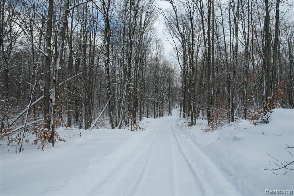 11860 E 22 3/4 Road, Manton, MI 49663