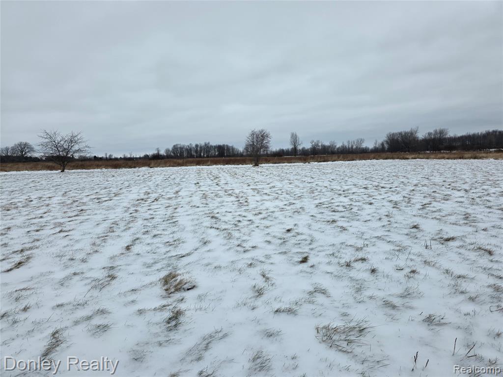 3270 Galbraith Line Road, Brown, MI 48416 — Photo 28