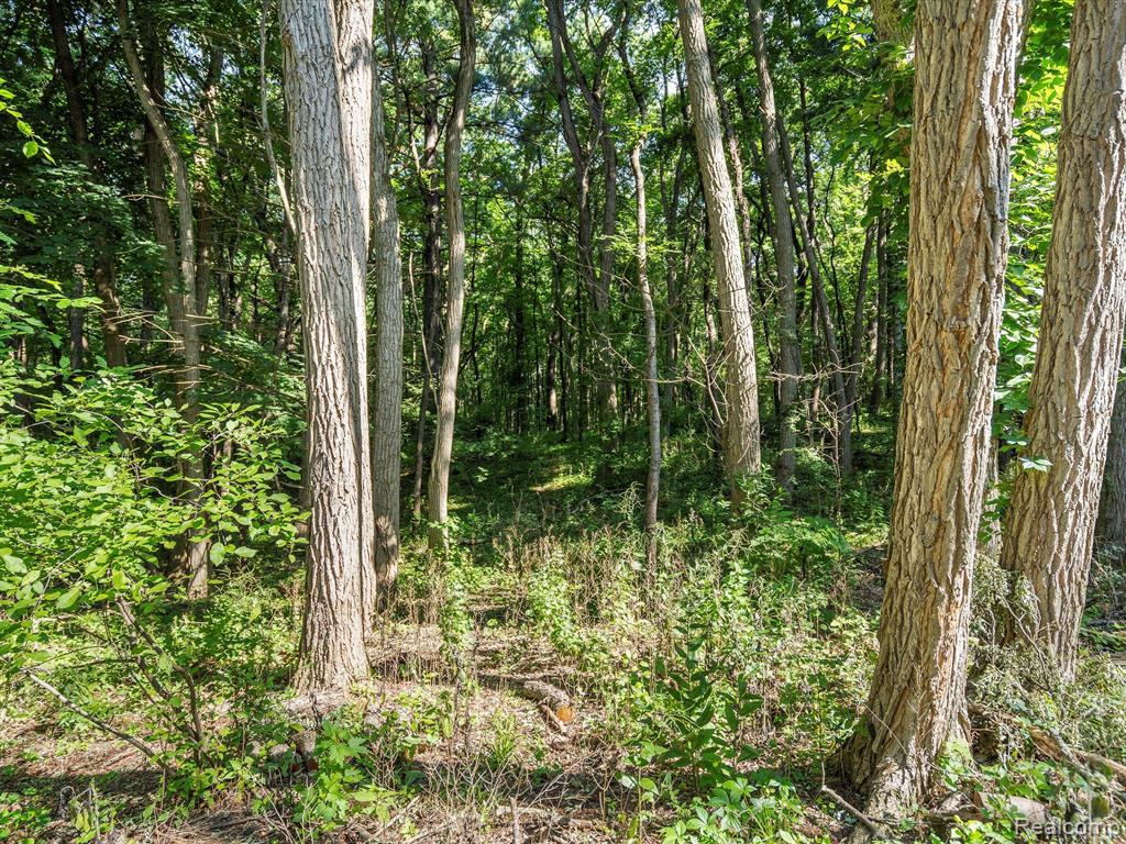 4875 Lockwood Drive, Washington, MI — Photo 31