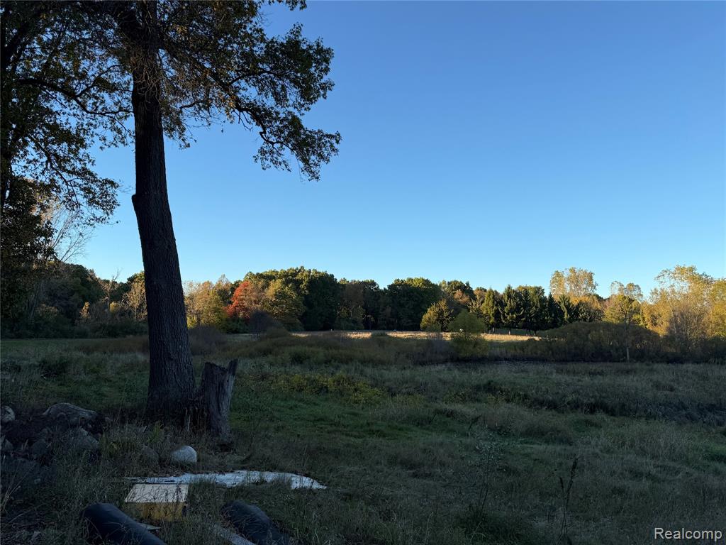 17241 Lands End, Chelsea, MI 48118 — Photo 9