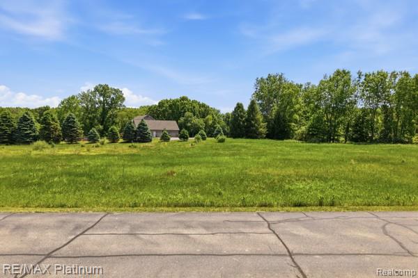 00 Iosco Mountain Road E, Gregory, MI 48137