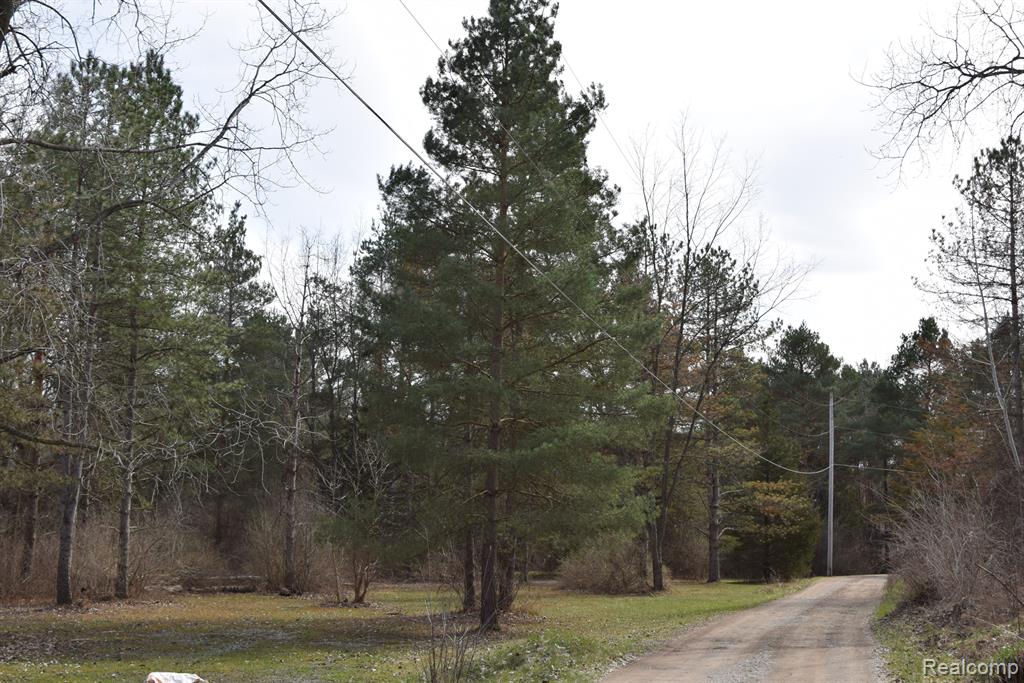 4440 N ELMS Road, Flushing, MI 48433 — Photo 25