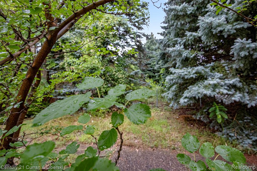 411 KING Street, Detroit, MI 48202 — Photo 2