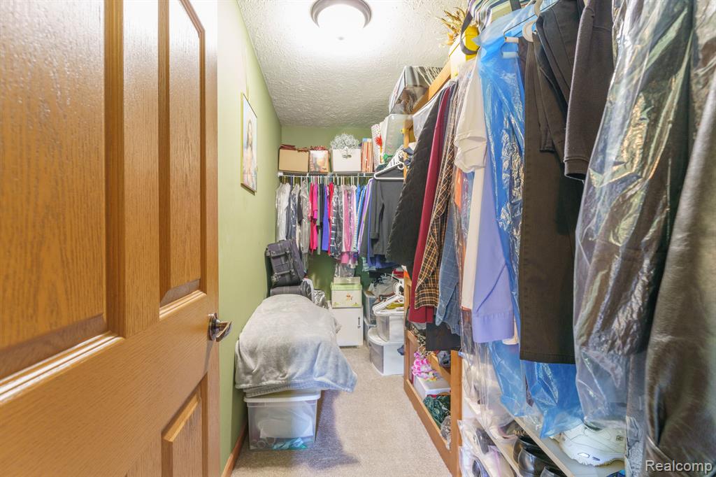 102 MELLADEE Lane, Morrice, MI 48857 — Photo 16