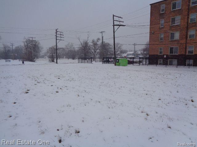 2736 ROCHESTER Street, Detroit, MI 48206 — Photo 11