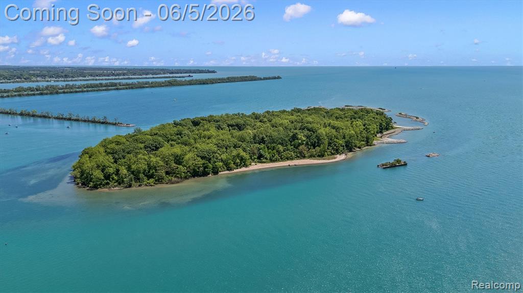 28195 Elba Drive, Grosse Ile, MI 48138 — Photo 66