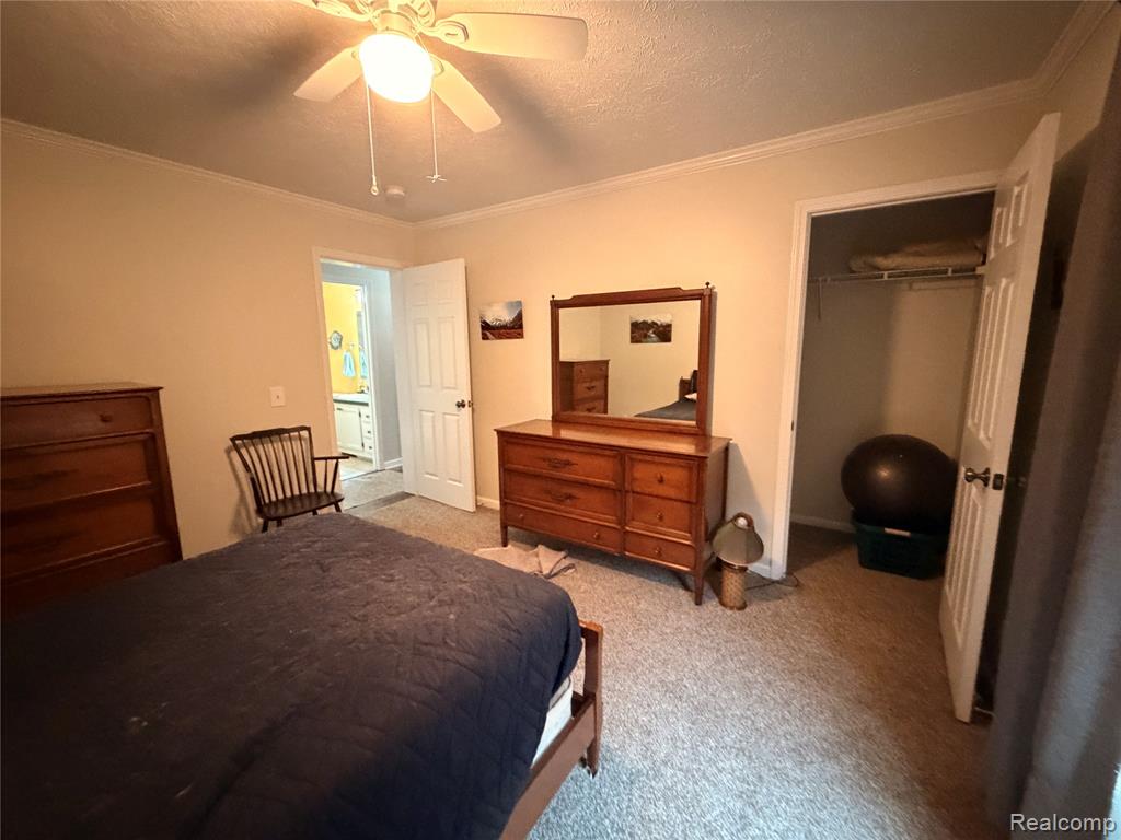 337 Lafayette Street, Manchester, MI 48158 — Photo 20