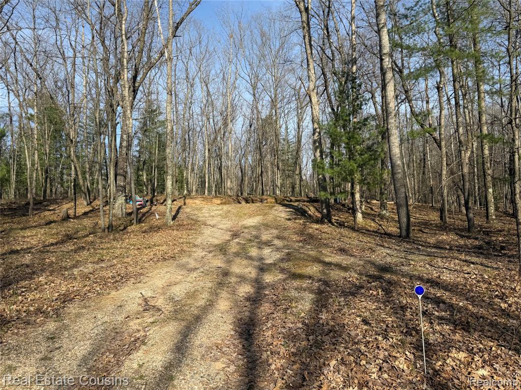 4701 Lake Road, Farwell, MI 48622 — Photo 3