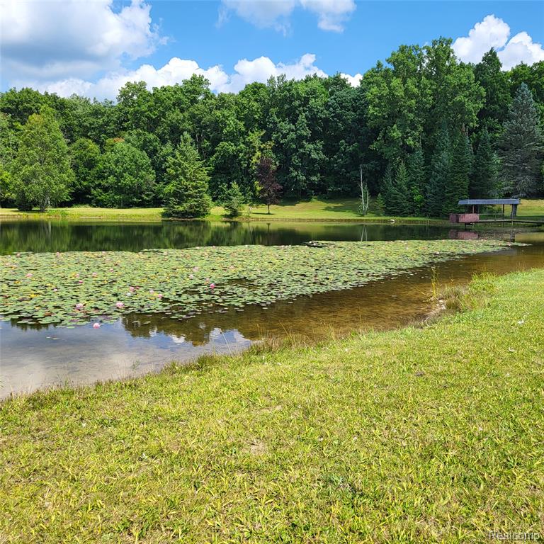 5060 Pinecone Drive, Lapeer, MI 48446 — Photo 35