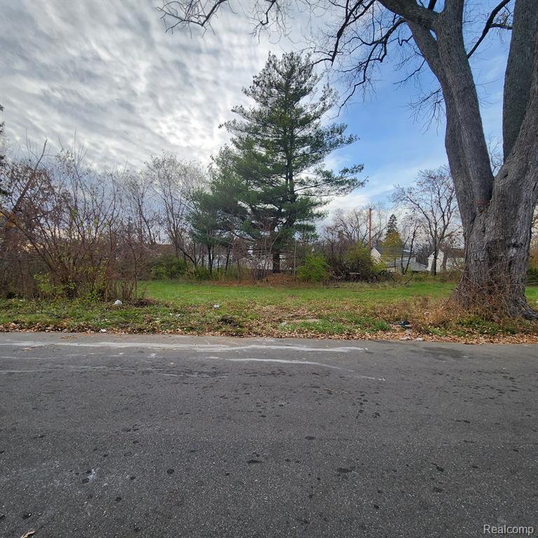 19719 VAUGHAN Street, Detroit, MI 48219 — Photo 3