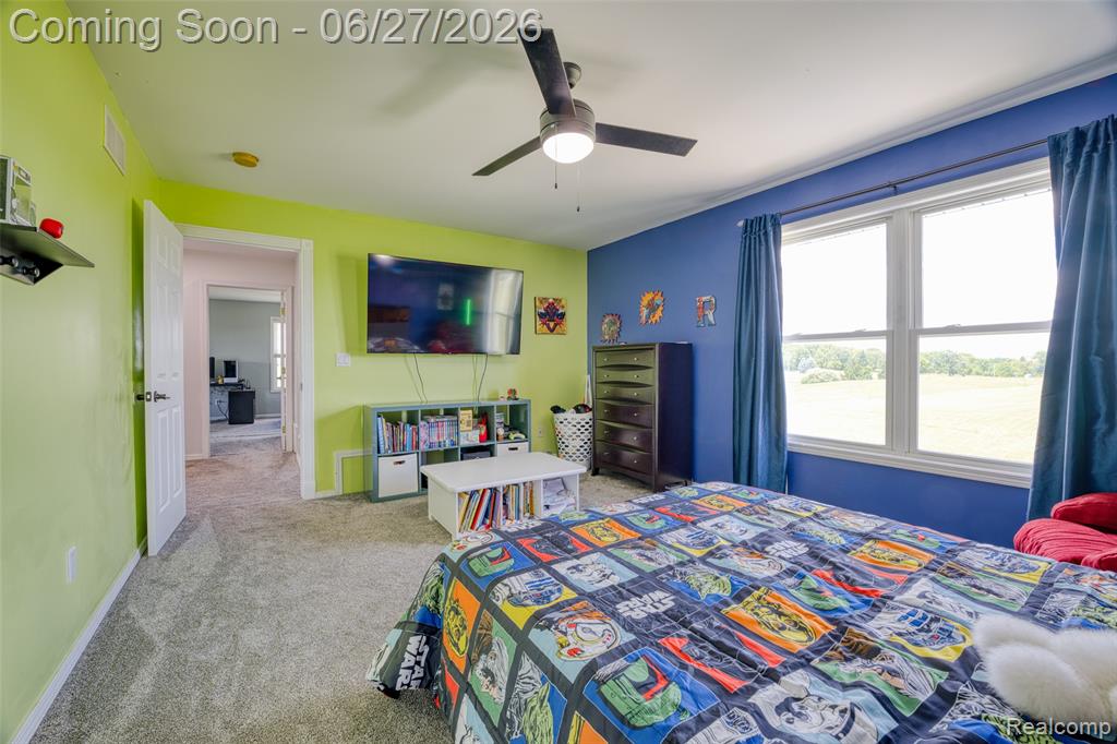 17204 Country Lane, Manchester, MI 48158 — Photo 27