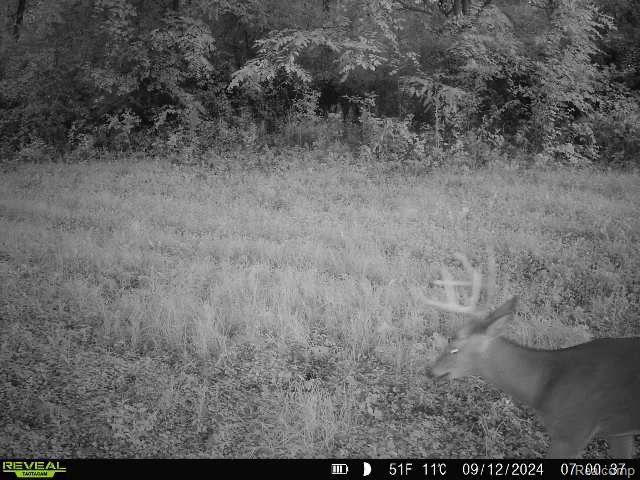 V/L BLAKE Road, Jackson, MI 49201 — Photo 90