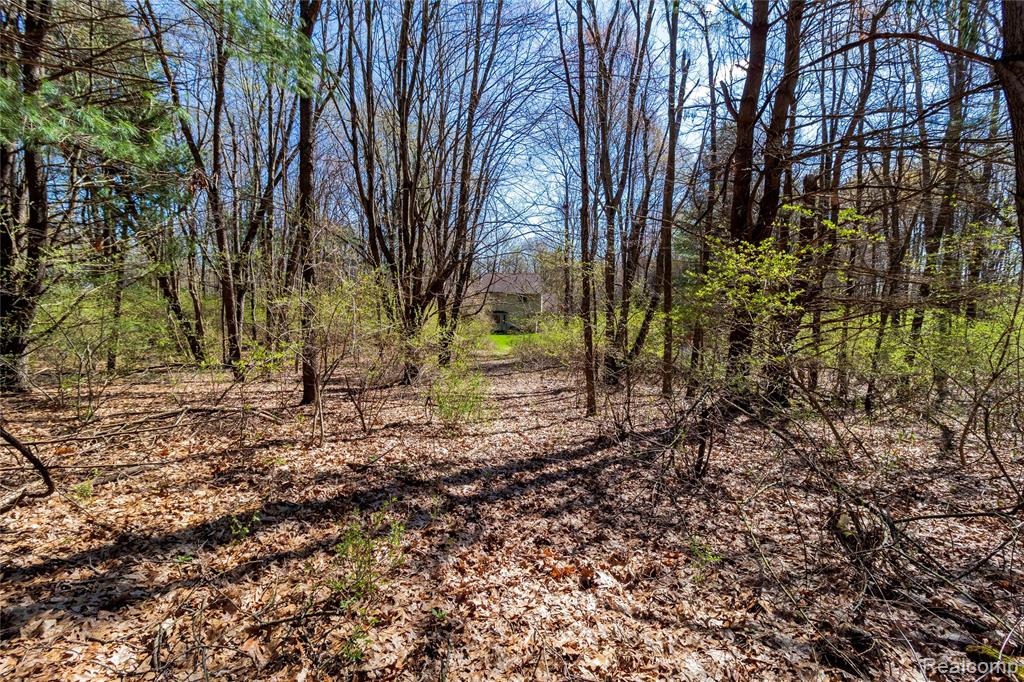 4450 Blood Road, Metamora, MI 48455 — Photo 60