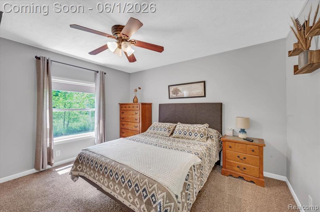 1683 Hayden Road, Attica, MI 48412 — Photo 25