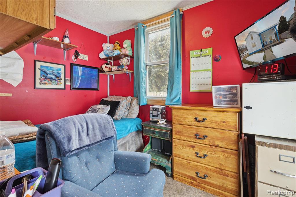 4242 SEEGER Street, Cass City, MI 48726 — Photo 4