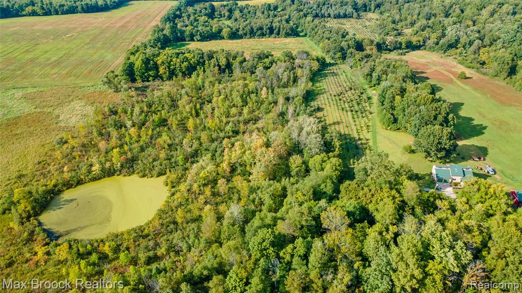 4700 Stanley Road, Columbiaville, MI 48421 — Photo 8