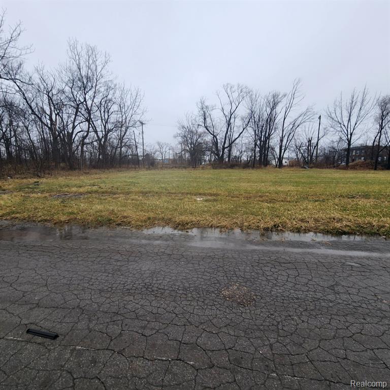 2242 SAINT JOSEPH Street, Detroit, MI 48207 — Photo 3