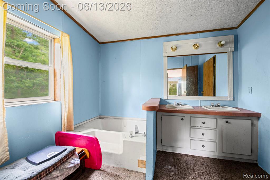 51105 Arkona Road, Belleville, MI 48111 — Photo 14