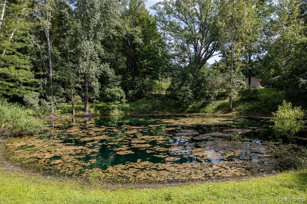 18590 NELSON Road, St. Charles, MI 48655 — Photo 30