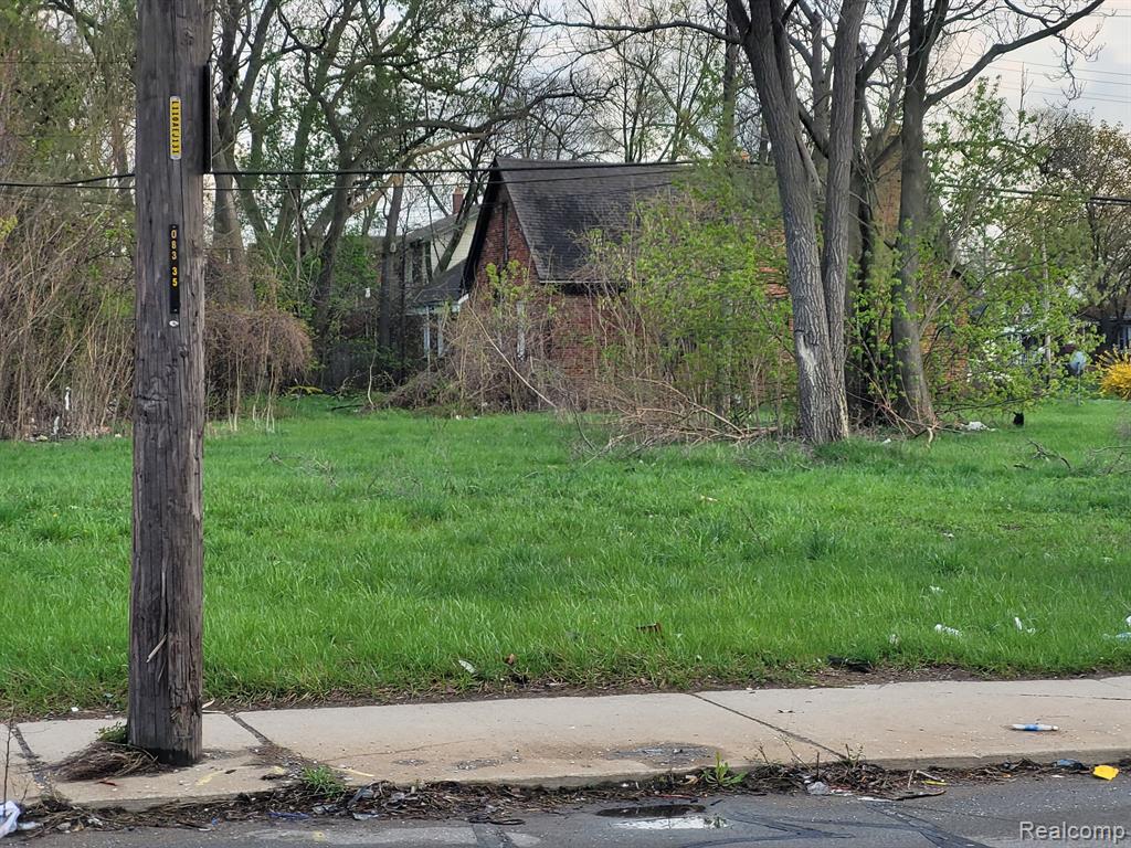 15335 SCHOOLCRAFT Street - Photo 4