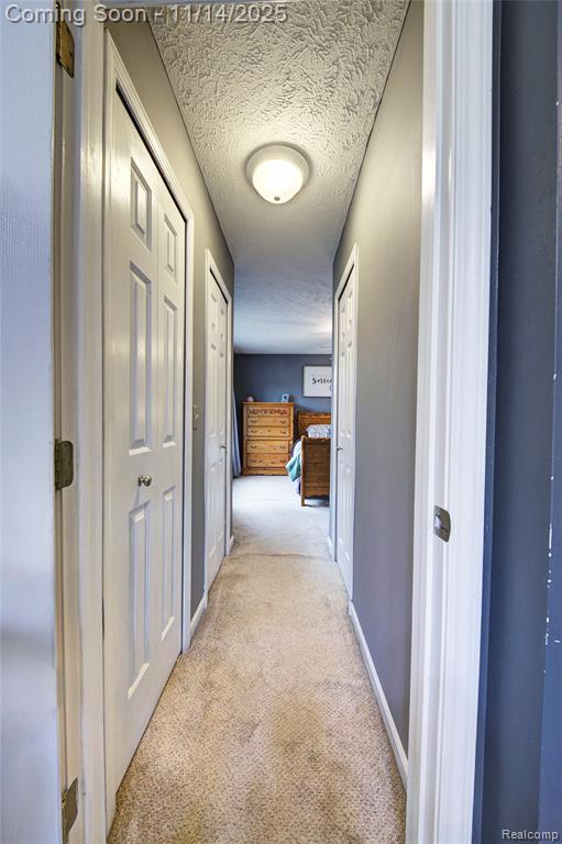 117 Turtle Trace, Pinckney, MI 48169 — Photo 15