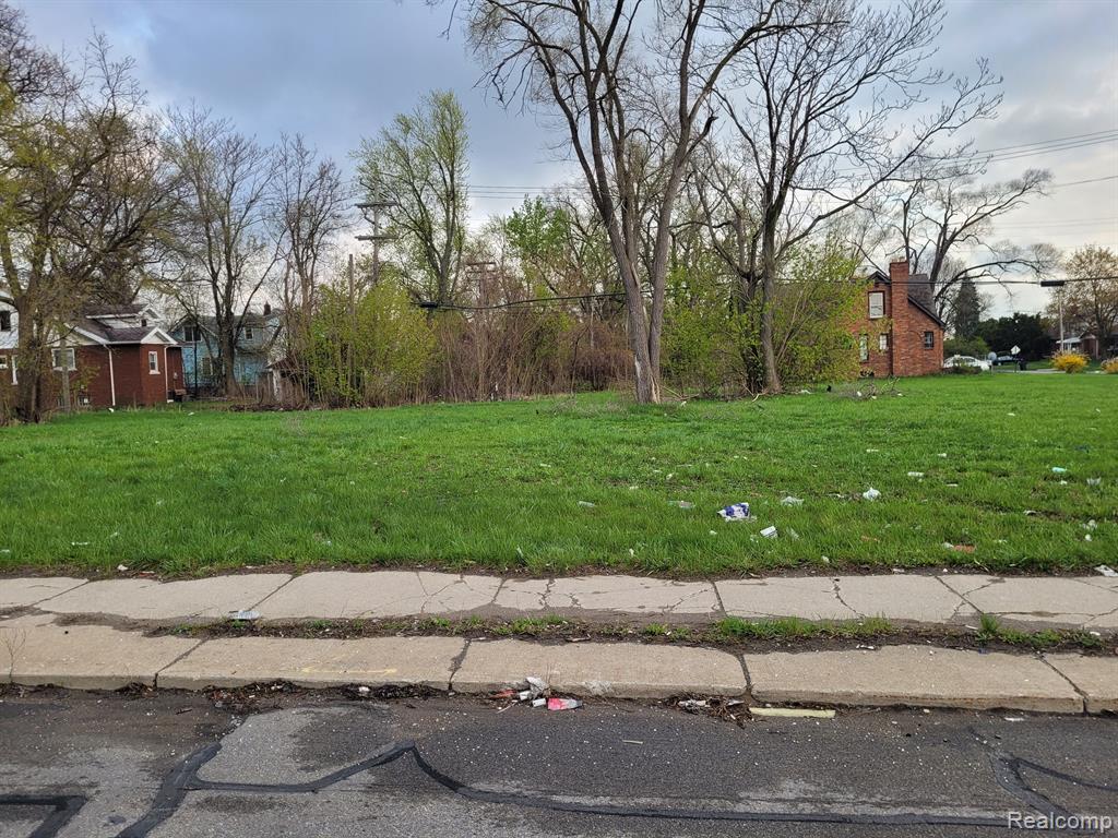 15335 SCHOOLCRAFT Street - Photo 3