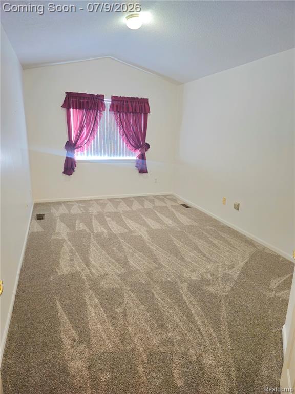 450 Lilly View Court Court, Howell, MI 48843 — Photo 16