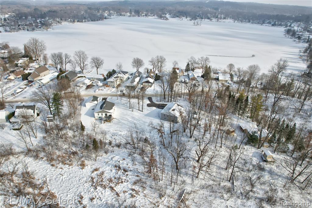 10311 Walnut Shores Drive, Fenton, MI 48430 — Photo 8
