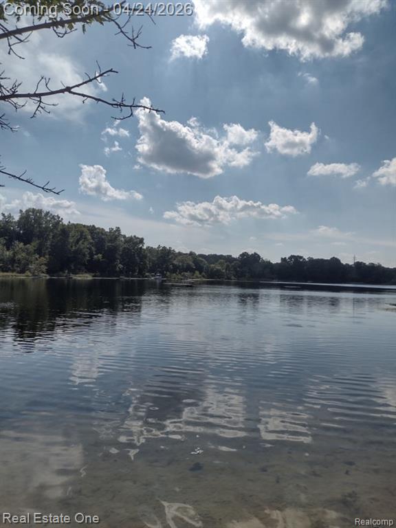 4555 Arrowhead, West Bloomfield, MI 48323 — Photo 28