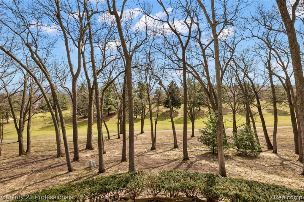 View Of 18th Eagle Fairway