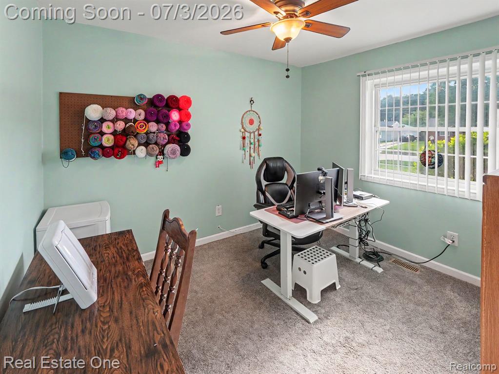 10637 Jackson St, Belleville, MI 48111 — Photo 8
