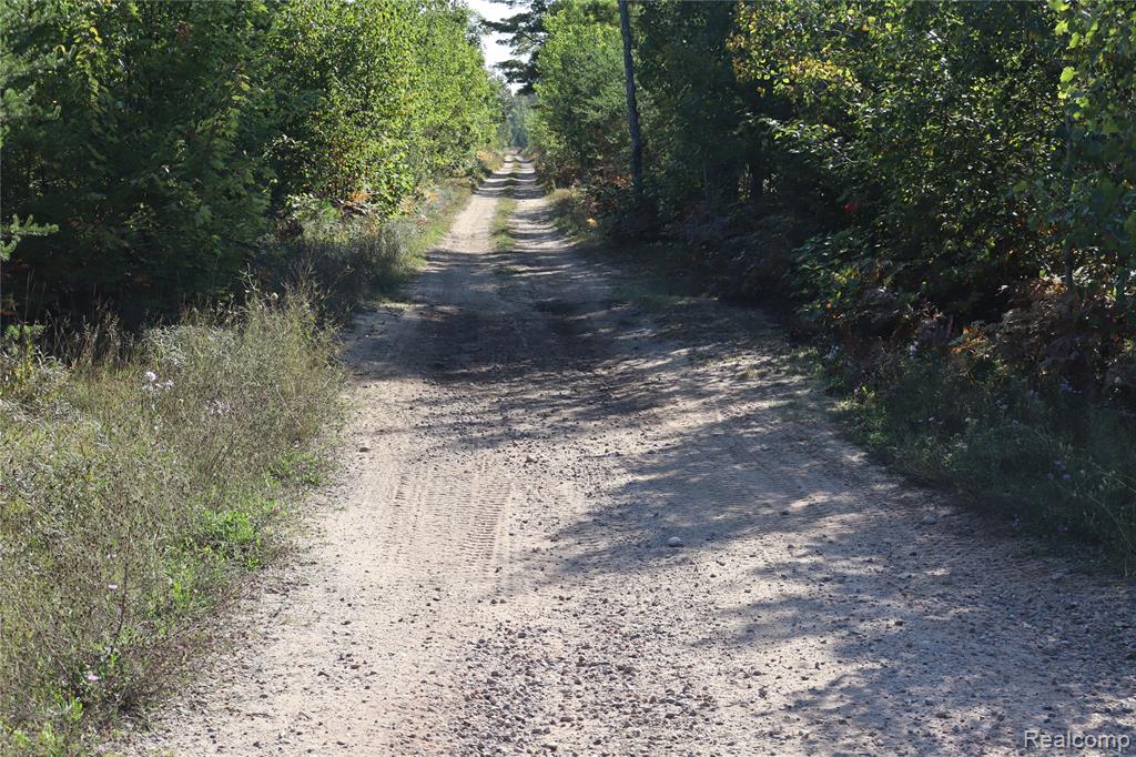 Lot D W Pendills Lake Road, Brimley, MI 49715 — Photo 58