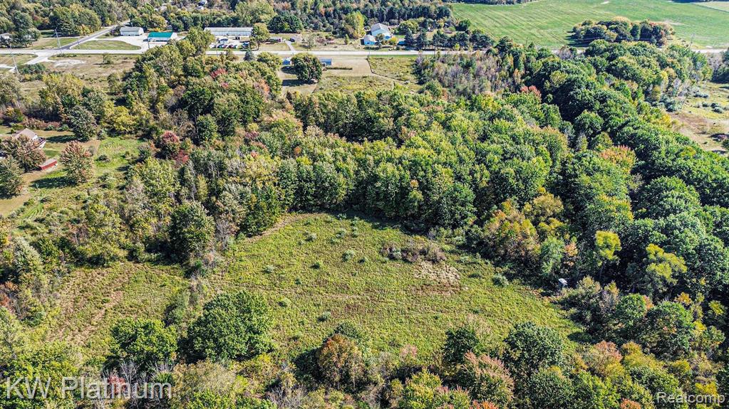 8060 Brockway Road, Melvin, MI 48454 — Photo 28