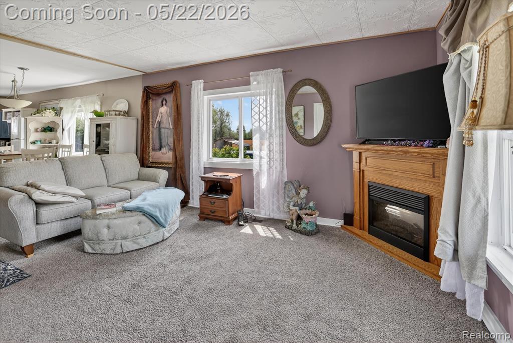7950 Mayville Road, Marlette, MI 48453 — Photo 8