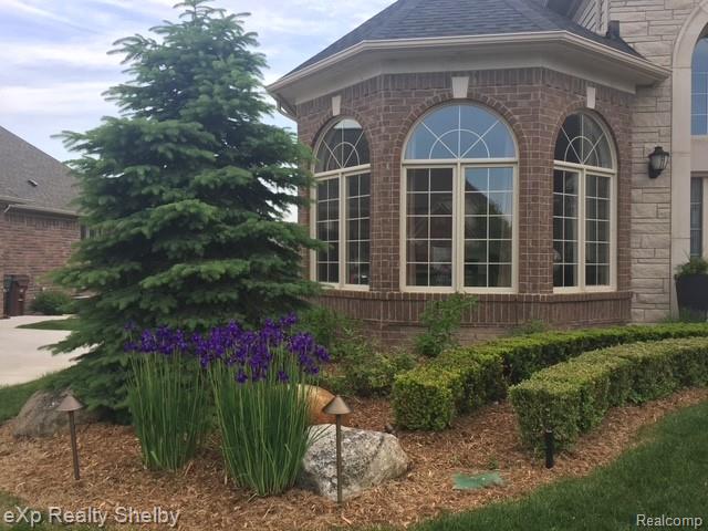 6424 Shadydale Drive, Shelby Twp, MI 48316 — Photo 5