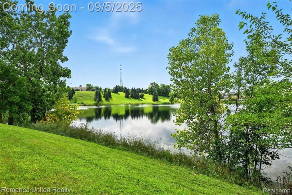 41377 Leidel Court, Northville, MI 48167 — Photo 41