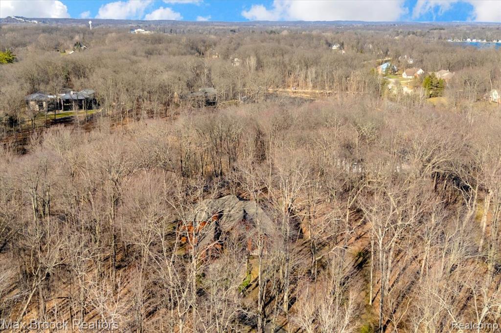 5970 Lynne Hollow Drive, Commerce Twp, MI 48382 — Photo 68