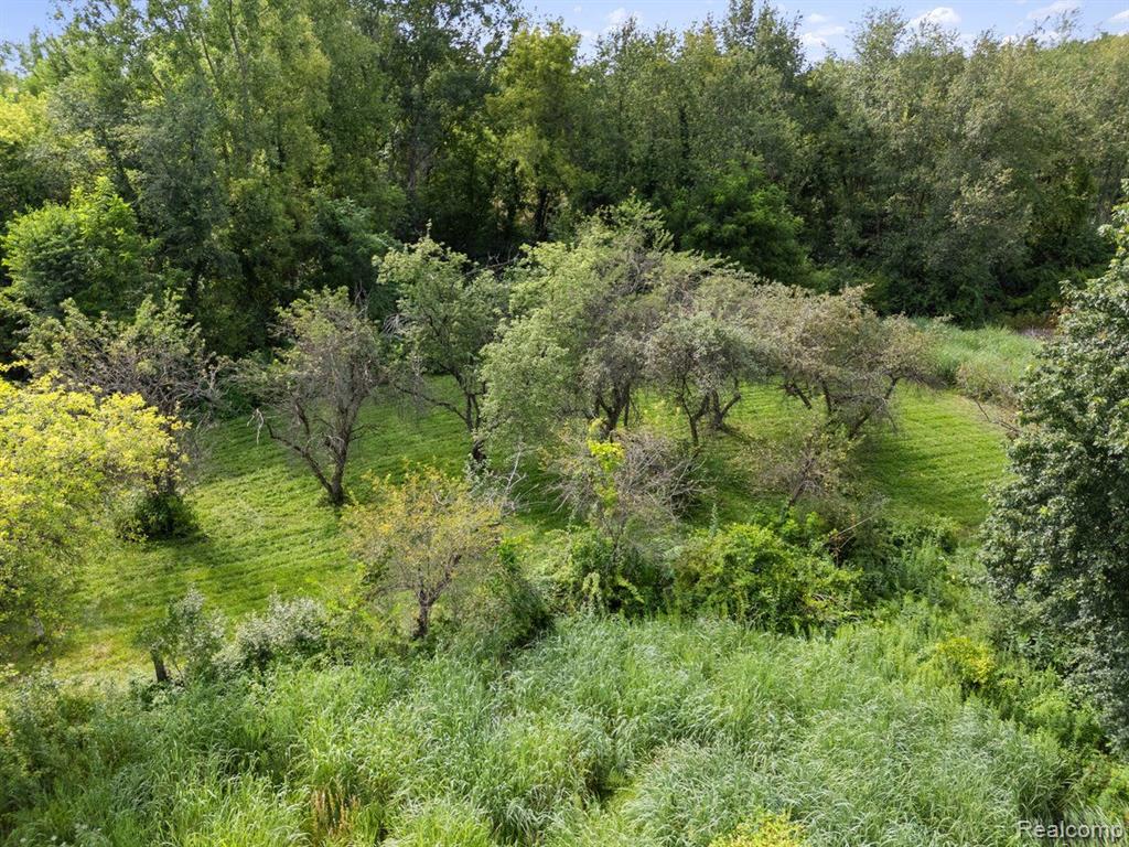 V/L BLAKE Road, Jackson, MI 49201 — Photo 21